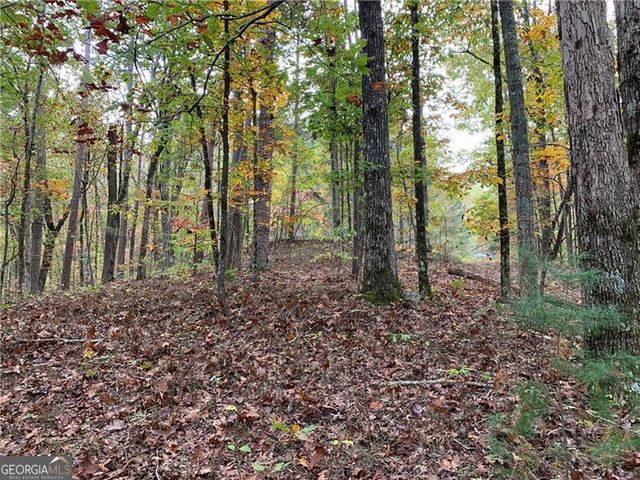 128 Adair Drive, Ranger, GA 30734