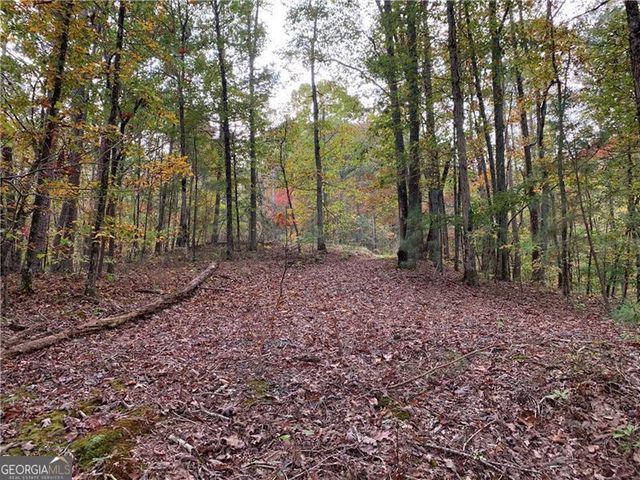 128 Adair Drive, Ranger, GA 30734