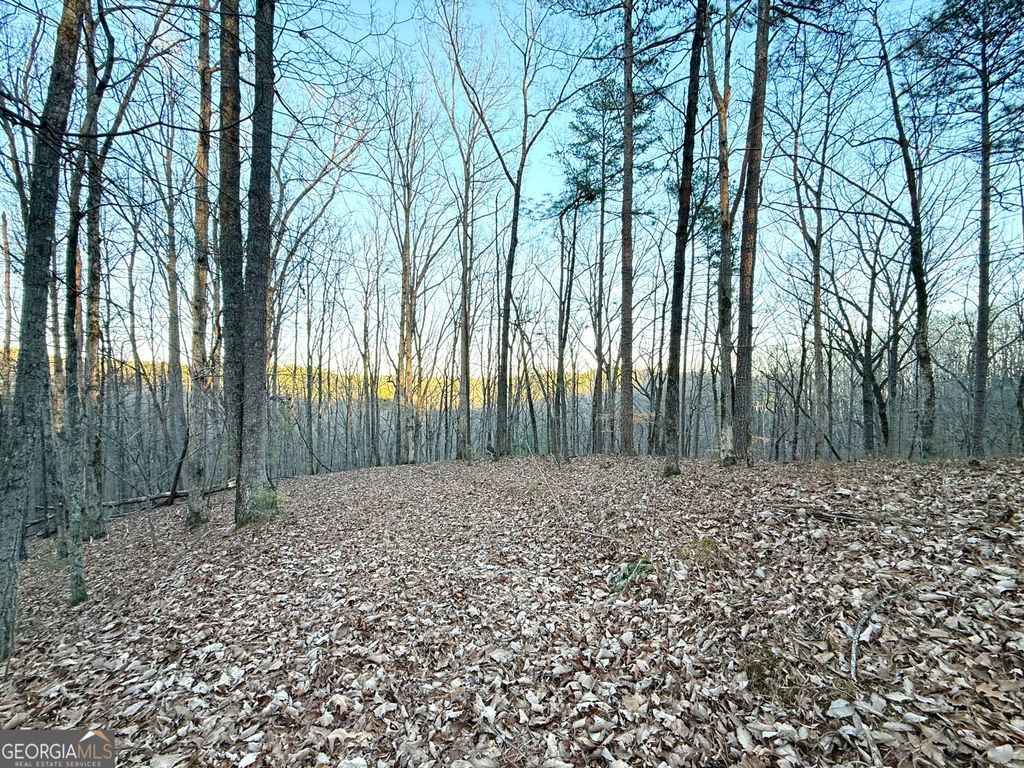 128 Adair Drive, Ranger, GA 30734