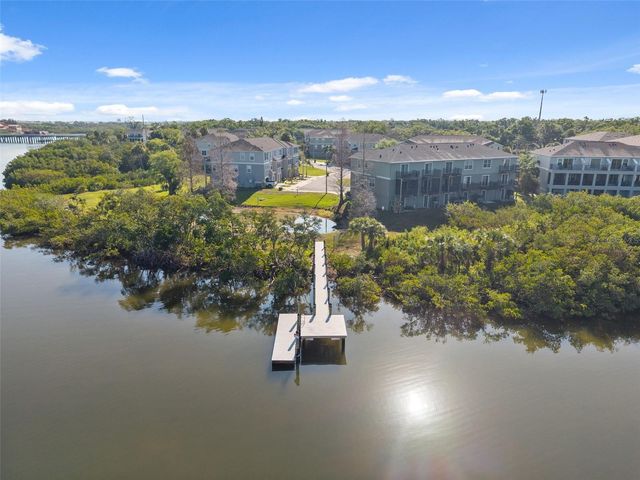 873 TENNYSON MILL CIRCLE, Tampa, FL 33619