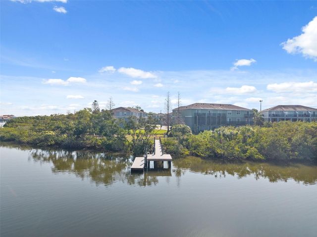 873 TENNYSON MILL CIRCLE, Tampa, FL 33619