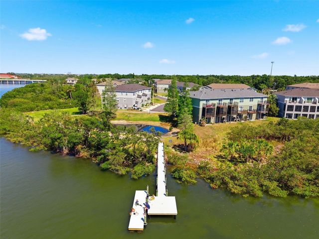 873 TENNYSON MILL CIRCLE, Tampa, FL 33619