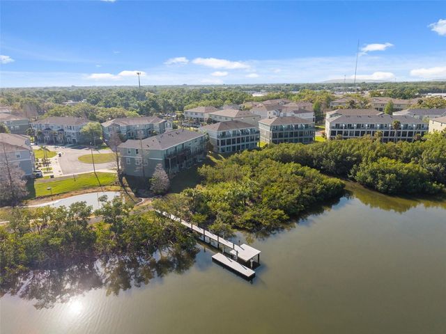 873 TENNYSON MILL CIRCLE, Tampa, FL 33619