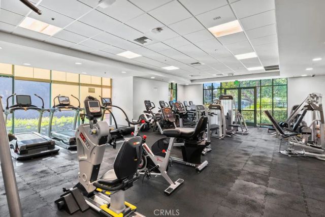 5300 Playa Vista Drive 5, Playa Vista, CA 90094