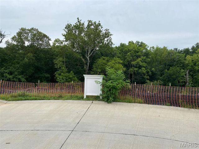 2041 Lily Avenue, Kirkwood, MO 63122