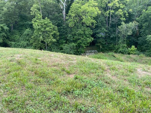 2041 Lily Avenue, Kirkwood, MO 63122