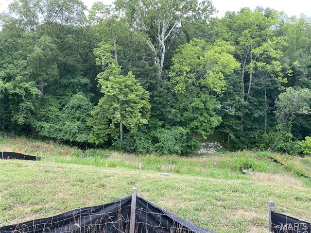 2041 Lily Avenue, Kirkwood, MO 63122
