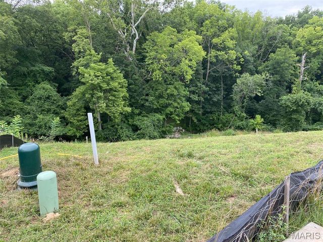 2041 Lily Avenue, Kirkwood, MO 63122