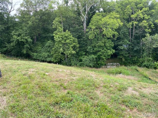2041 Lily Avenue, Kirkwood, MO 63122