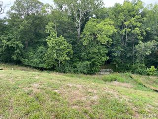 2041 Lily Avenue, Kirkwood, MO 63122