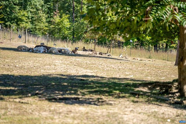 1889 POND RD, Buckingham, VA 23921