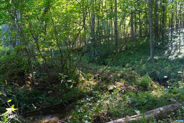 1889 POND RD, Buckingham, VA 23921