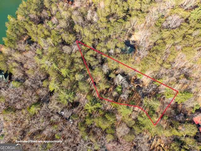 40 Lakeside Drive, Blue Ridge, GA 30513