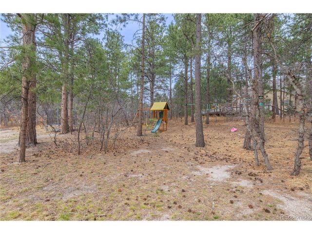 19795 Sleepy Hollow Rd, Monument, CO 80132