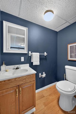 5738 Lost Brook Court, Oakville, MO 63129