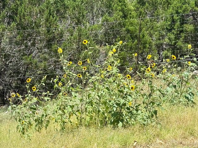 134 Holly Dr, Kerrville, TX 78028