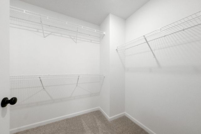 6559 Bellflower Drive, Minnetrista, MN 55331