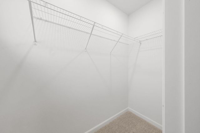 6559 Bellflower Drive, Minnetrista, MN 55331