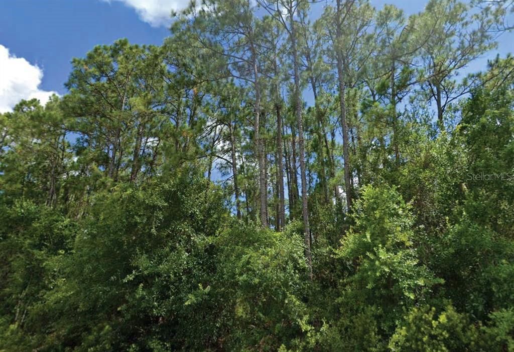 LANGSOM LANE, North Port, FL 34286