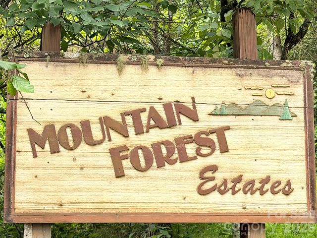 477 Mountain Forest Estate, Sylva, NC 28779