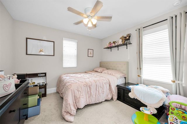 19576 BREYNIA DRIVE, Lutz, FL 33558
