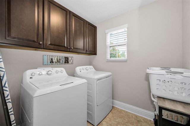 19576 BREYNIA DRIVE, Lutz, FL 33558