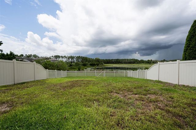 19576 BREYNIA DRIVE, Lutz, FL 33558