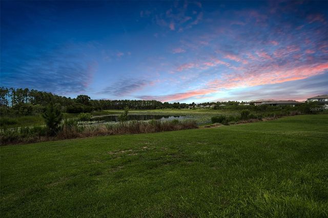 19576 BREYNIA DRIVE, Lutz, FL 33558