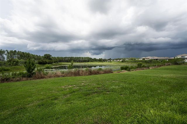 19576 BREYNIA DRIVE, Lutz, FL 33558