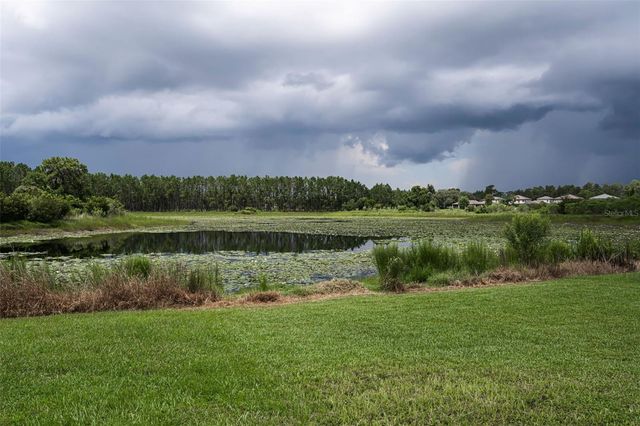 19576 BREYNIA DRIVE, Lutz, FL 33558