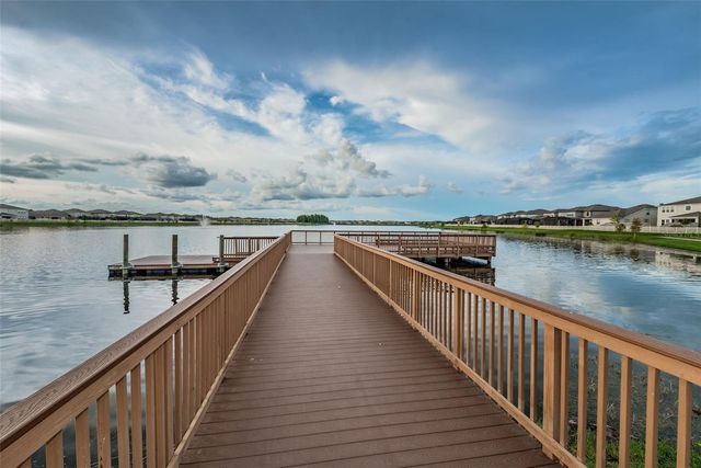 19576 BREYNIA DRIVE, Lutz, FL 33558
