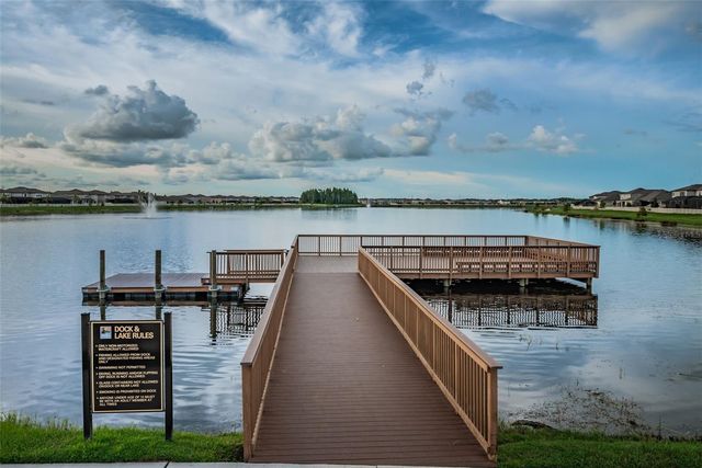 19576 BREYNIA DRIVE, Lutz, FL 33558