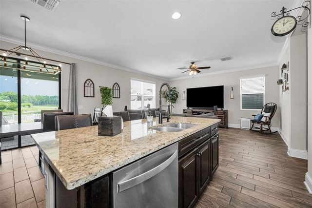 19576 BREYNIA DRIVE, Lutz, FL 33558