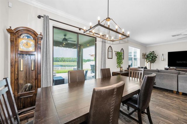 19576 BREYNIA DRIVE, Lutz, FL 33558