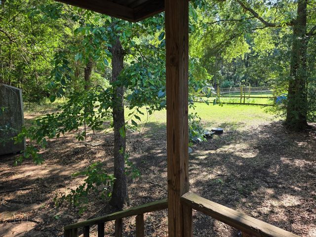 25356 Pine Knob Drive, Cleveland, TX 77328