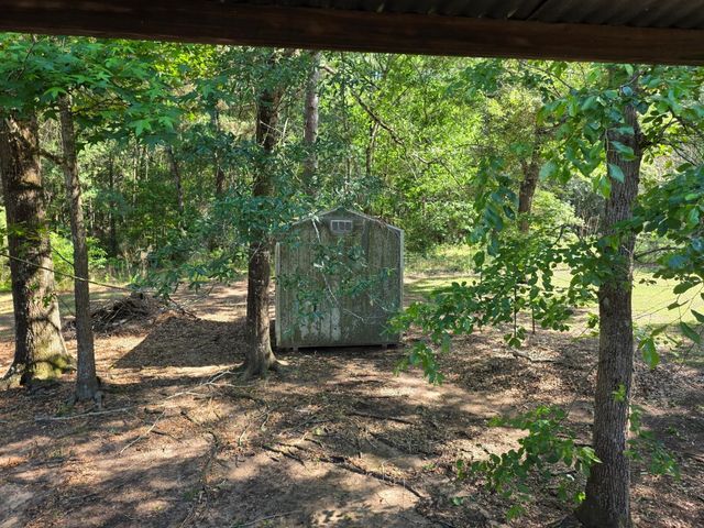 25356 Pine Knob Drive, Cleveland, TX 77328