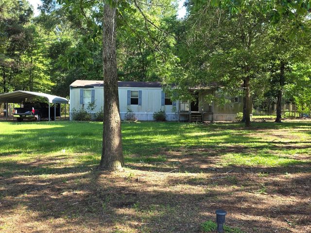 25356 Pine Knob Drive, Cleveland, TX 77328