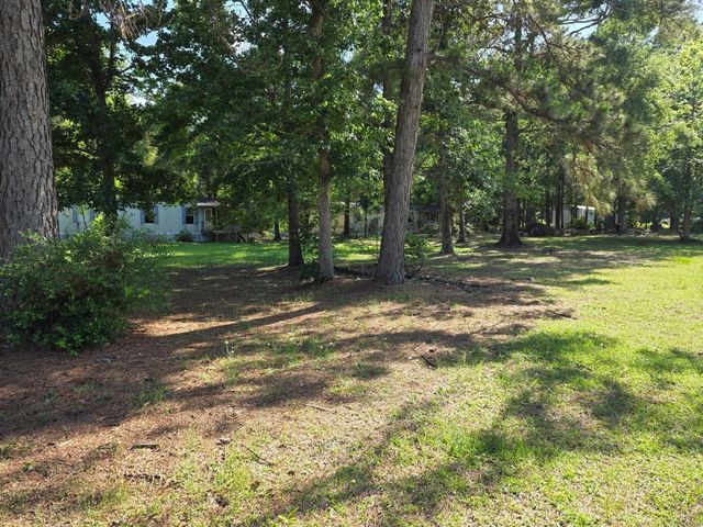 25356 Pine Knob Drive, Cleveland, TX 77328