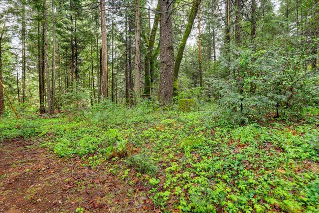 17900 Lightfoot Way, Nevada City, CA 95959