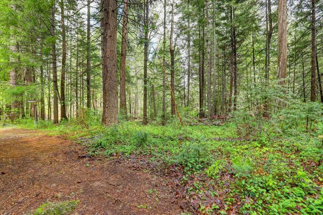 17900 Lightfoot Way, Nevada City, CA 95959