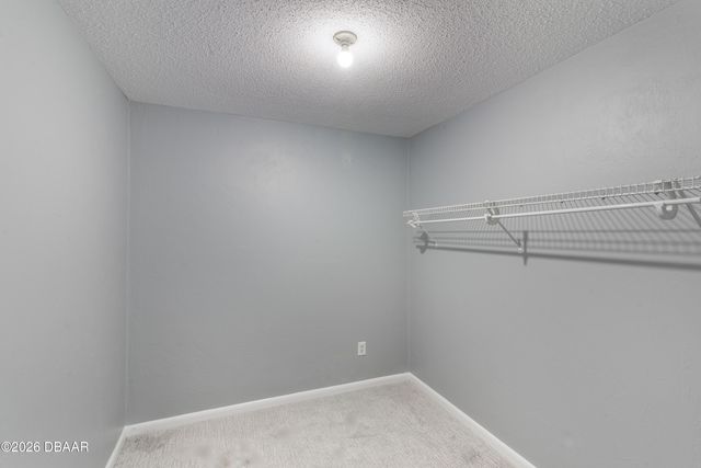 19 Wildwood, Ormond Beach, FL 32174