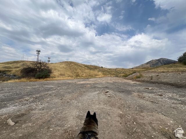 159 Winding Way Unit 49, Logan, UT 84321