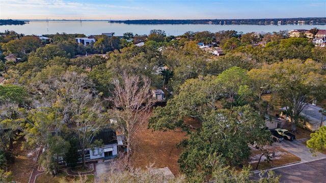 503 BUCKINGHAM AVENUE W, Oldsmar, FL 34677