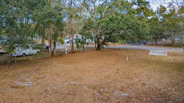 503 BUCKINGHAM AVENUE W, Oldsmar, FL 34677