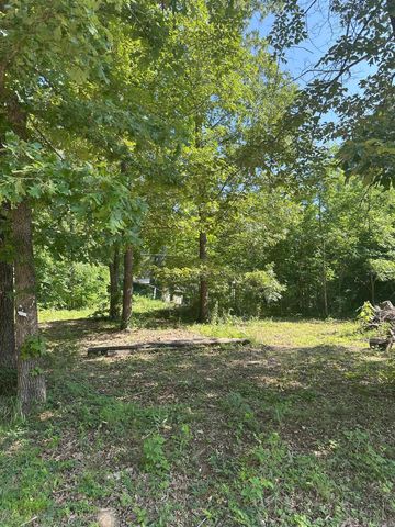 11 S Ontario Drive, Cherokee Village, AR 72529