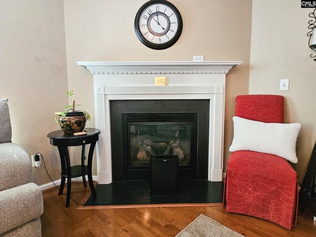 333 Tall Shadows Lane, Columbia, SC 29229