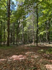 9144 Sailor Drive, Byron Center, MI 49315