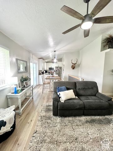 233 S 500 W, Monroe, UT 84754