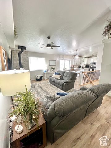 233 S 500 W, Monroe, UT 84754