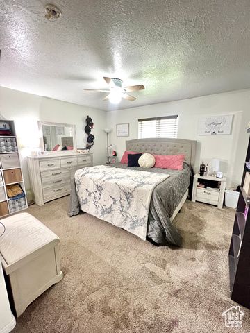 233 S 500 W, Monroe, UT 84754